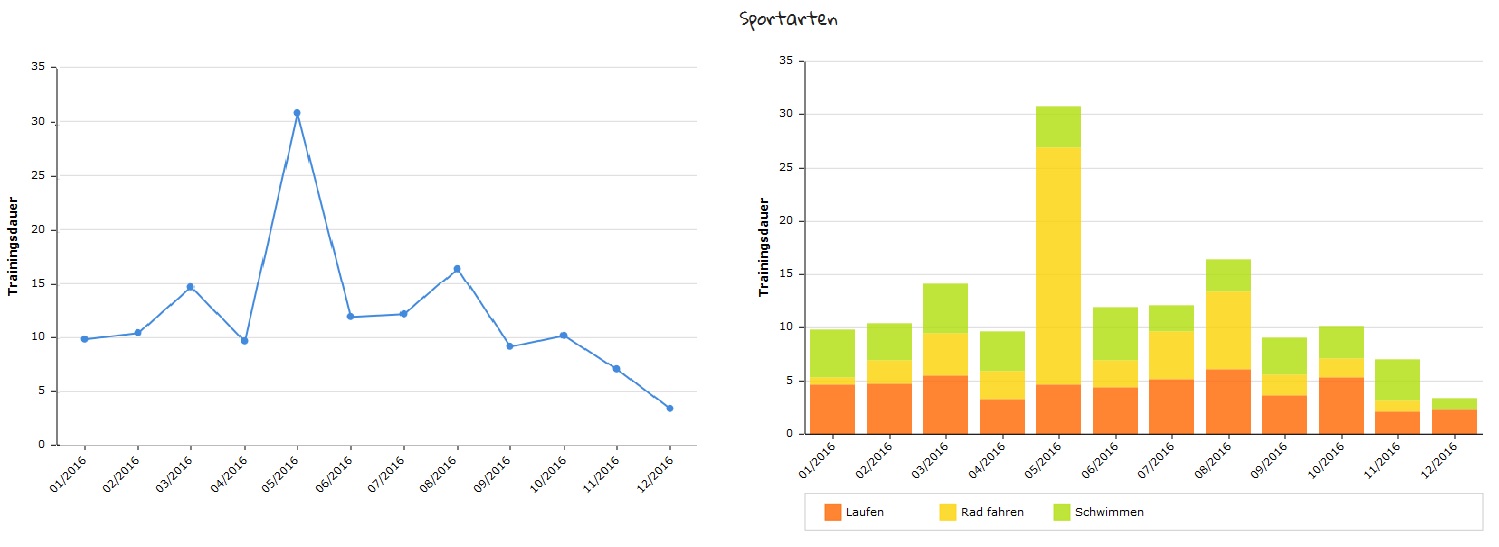 Trainingsdokumentation Excel Online Oder App Sportshop Triathlon